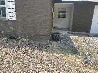 July 14 2022 - starting to fill in the holes <br/> 