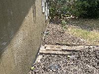 July 14 2022 - back yard 