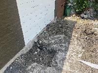 July 14 2022 - at front driveway<br/> 