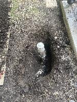 July 23 2022 - drain line in back yard <br/> 