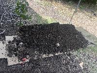 July 23 2022 - drain line in back yard <br/> 