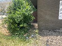 July 2022 - starting to fill in the holes <br/> 