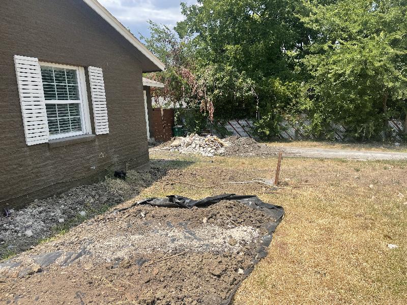 July 14 2022 - starting to fill in the holes <br/> 