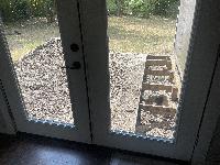 July 14 2022 - back deck 