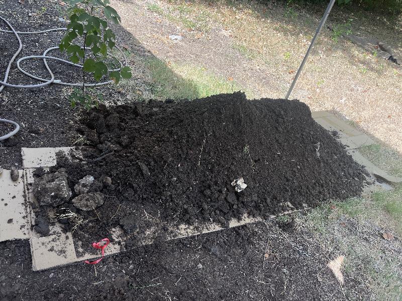 July 23 2022 - drain line in back yard <br/> 