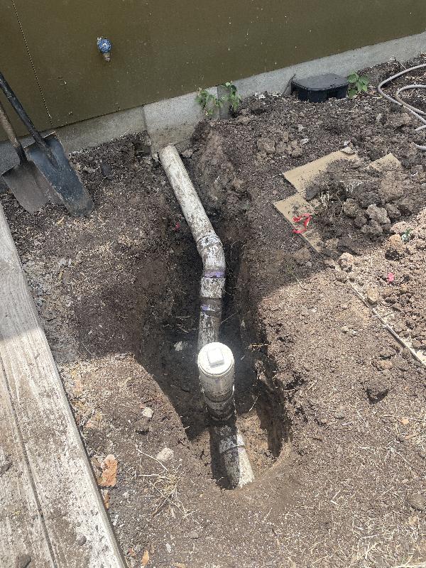 July 23 2022 - drain line in back yard <br/> 