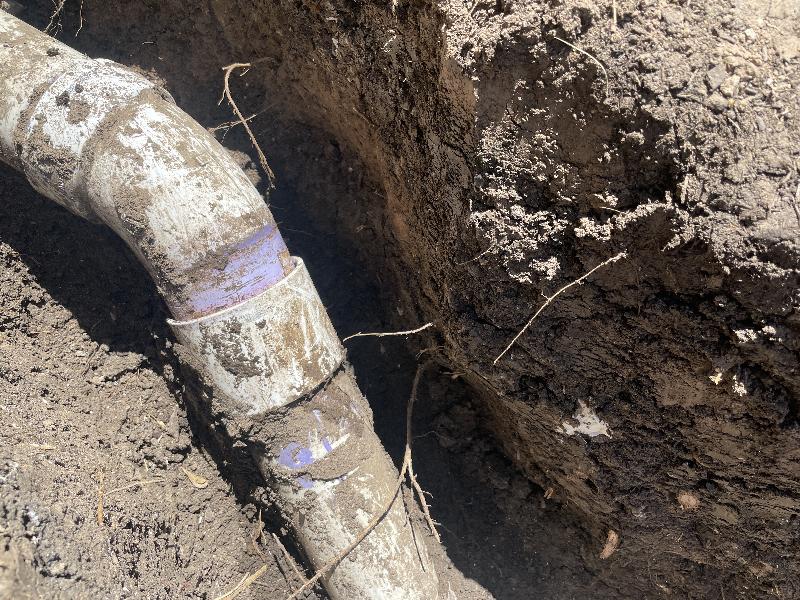 July 23 2022 - drain line in back yard <br/> 