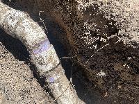 July 23 2022 - drain line in back yard <br/> 