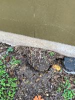 Photo by pest control showing foundation movement