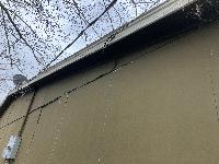   (20250227-094354.jpg)