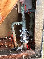 20260128-161337a (20260128-161337a.jpg)