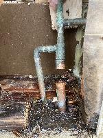 20260130-103316 (20260130-103316.jpg)