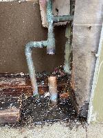 20260130-104241 (20260130-104241.jpg)