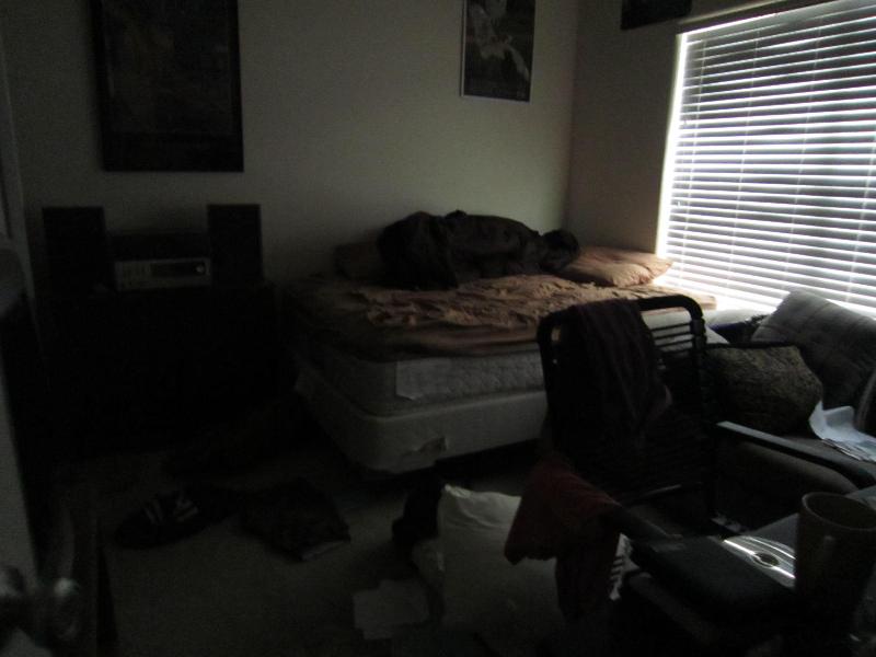 20100513-121207