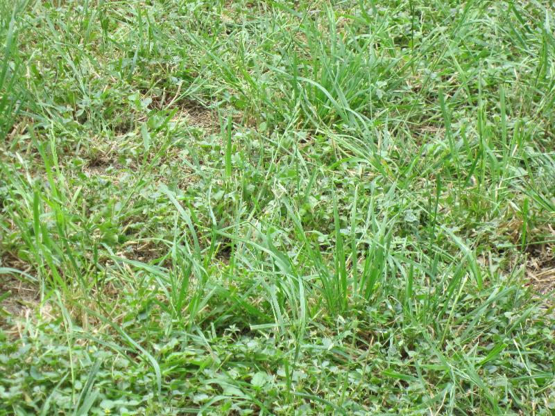 20100513-121642