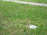 20100513-121748 (20100513-121748.jpg)