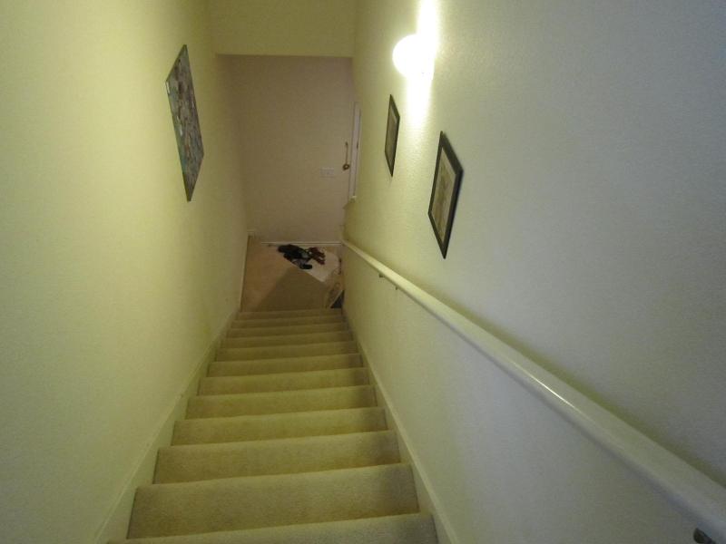 20100513-122039