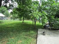 20100513-122152 (20100513-122152.jpg)