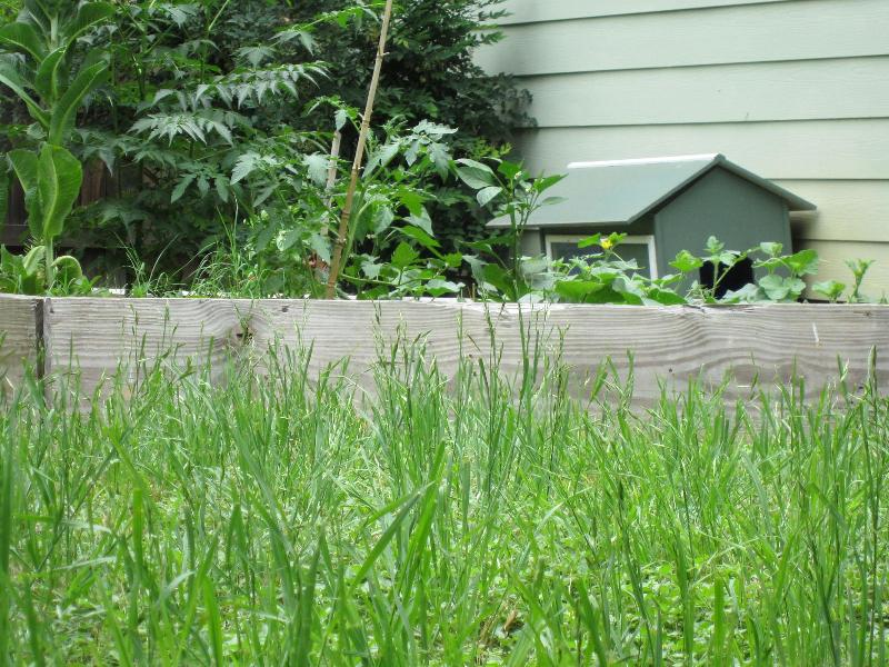 20100513-122330