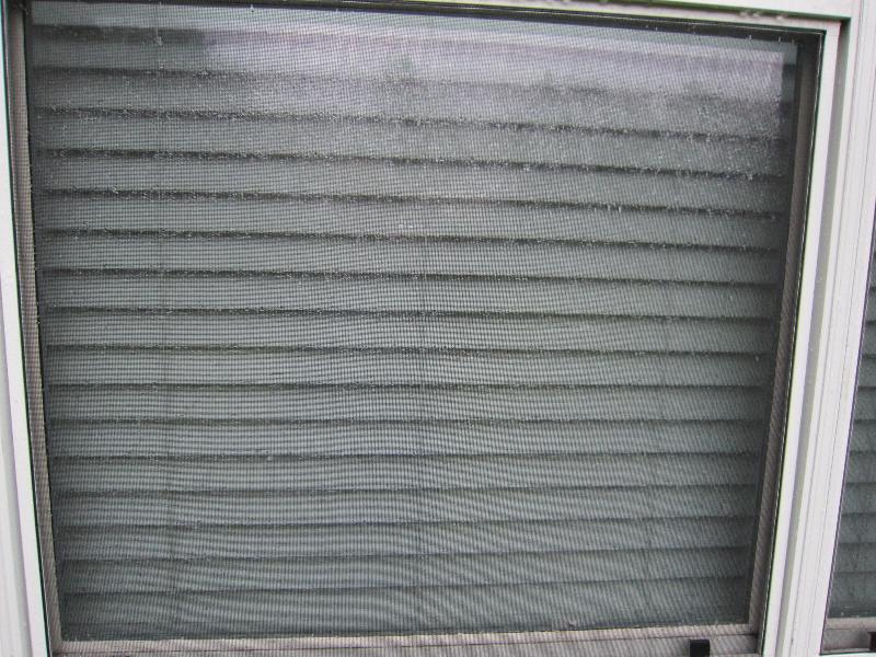 20100514-113733