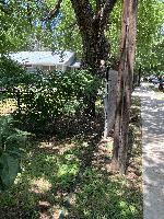 20250528-121549 (20250528-121549.jpg)