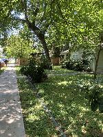 20250528-121556 (20250528-121556.jpg)