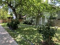 20250528-121601 (20250528-121601.jpg)