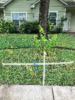 20250530-113536 (20250530-113536.jpg)