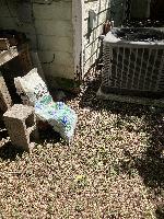 20250902-123641 (20250902-123641.jpg)