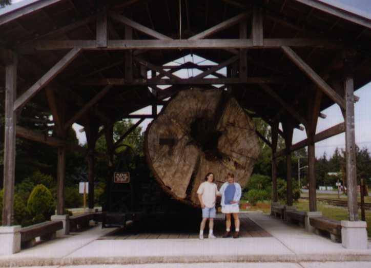 log pavillion