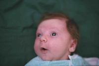 IMG00003