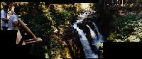 Waterfalls in Olympic National Park