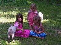 Jordan, big girls, and piglets