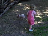 Jordan chasing piglets