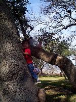 Ryan climbing, with Jordan & Travis in the background