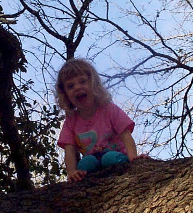 Jordan up the tree