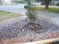 Hailstorm February 26