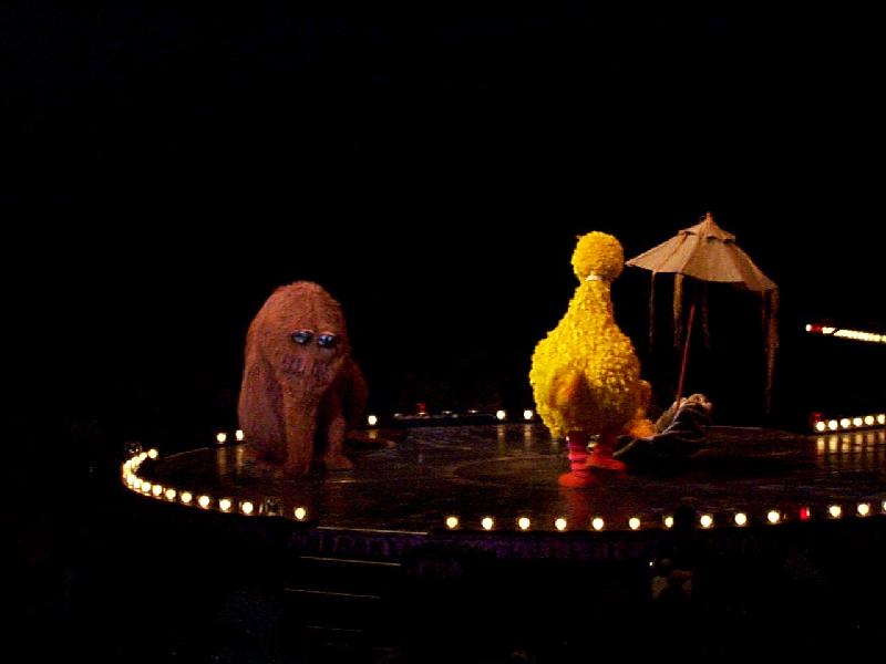 Sesame Street Live - Goin' camping