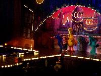 Sesame Street Live - party on the roof