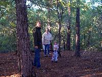 A short hike in Bastrop State Park