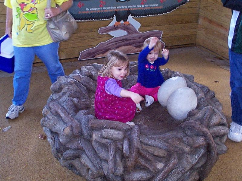In the new Children's Zoo section - Jordan and Jada as eagles