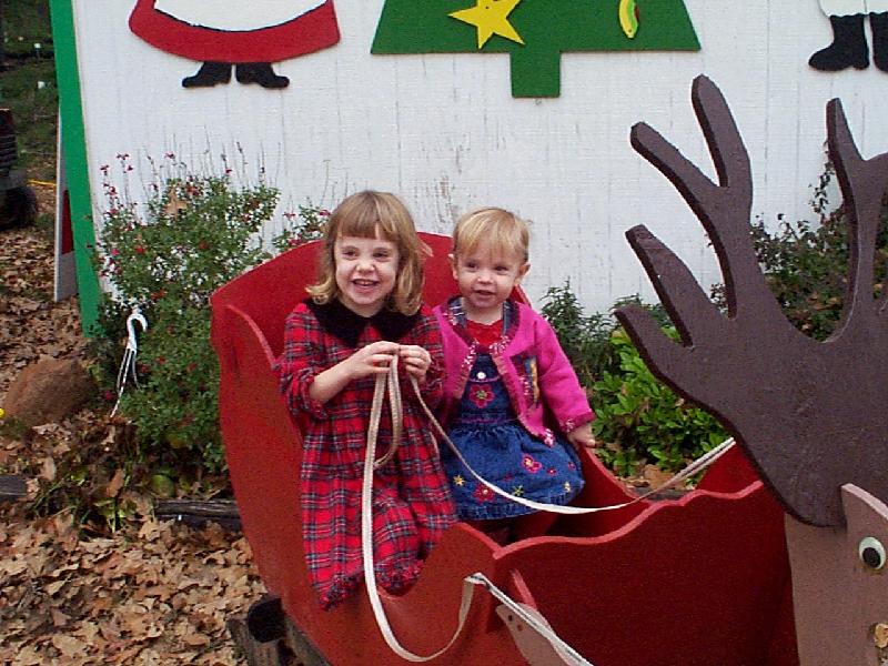 To the tree farm - photo op!