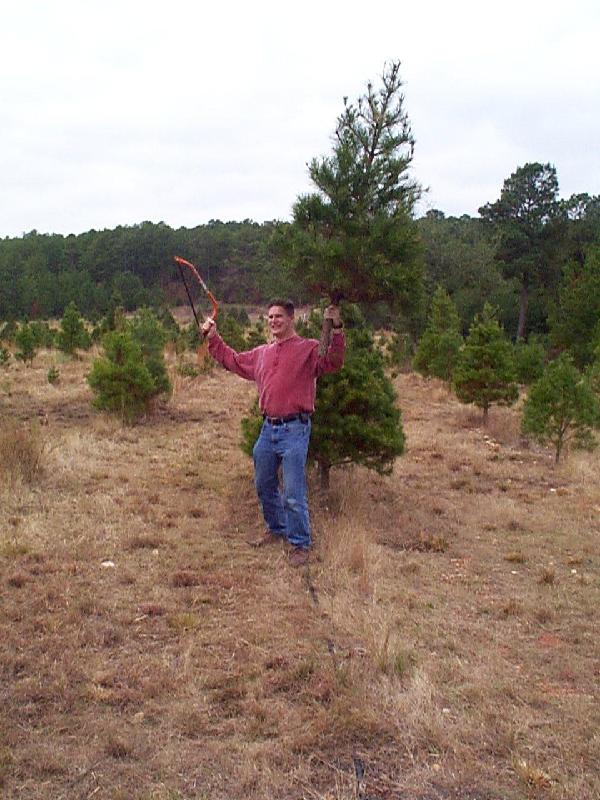I have the tree!