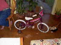 Jordan's bike