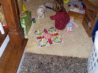 Jordan setting up the Parcheesi game - without the instructions!