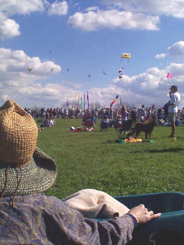 4 kites formation flying (hard to see)