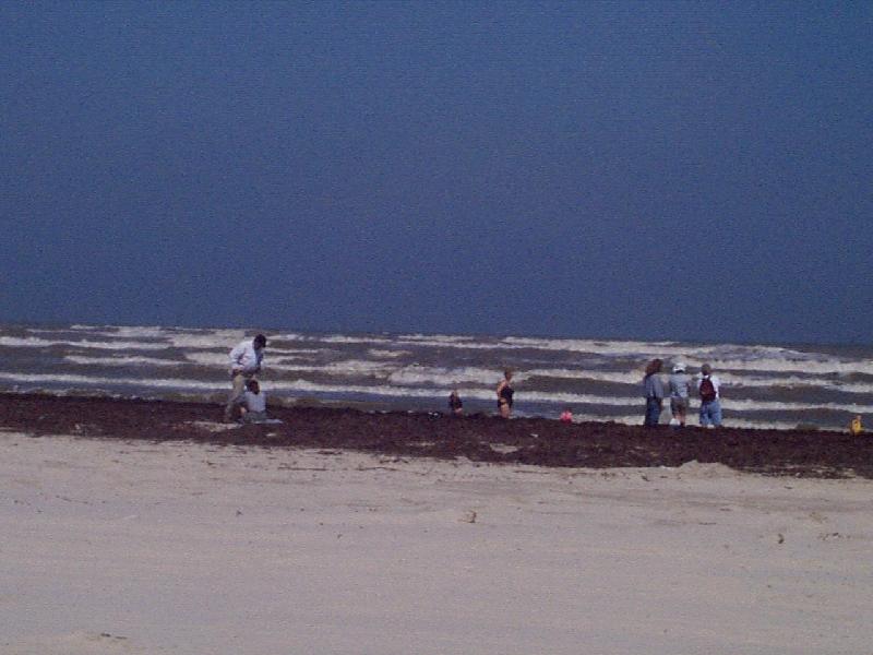 on the beach