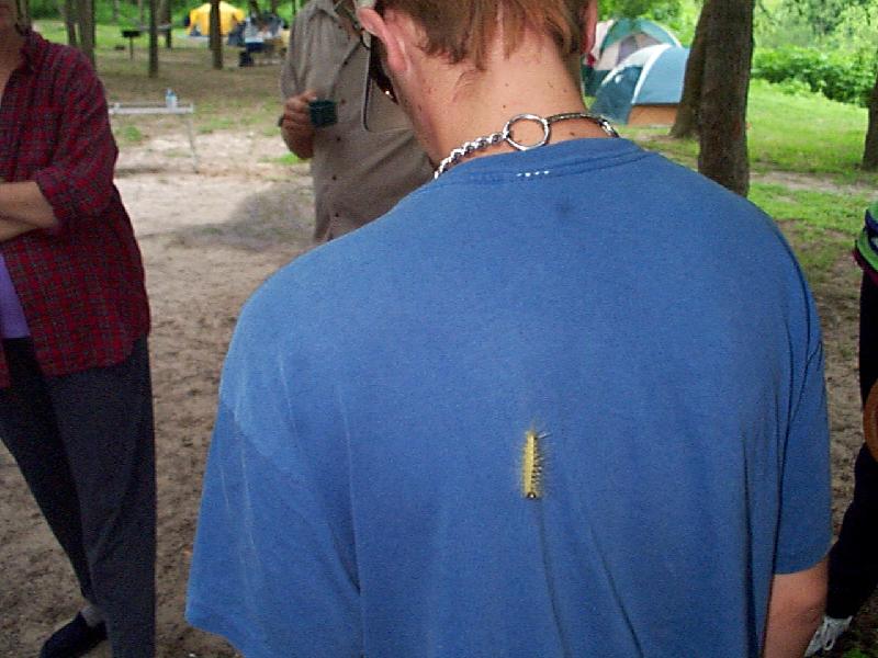 Travis and a hitchhiker