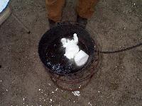1 can of lard, melting