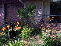 Nice picture of Mama's garden in the front yard